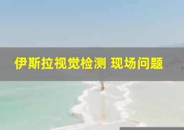 伊斯拉视觉检测 现场问题